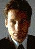 [Bild von Mulder (2,5 KB)]